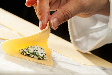 Working with fresh handmade pasta Pansoti, typical of Liguria. Italy