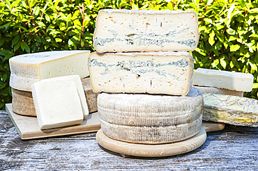 Sant'Antonio Agricultural Cooperative, Dairy company for the production of Strachitunt, typical raw milk cheese, raw paste, possibly blue, produced with whole cow's milk with the two curds technique, milk is obtained about a hundred Brown Alpine cows at 800 meters above sea level, DOP cheese, Val Taleggio valley; Lombardy; Italy; Europe.