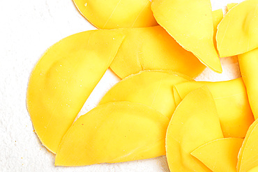 Handmade Tortelli fresh pasta, Italy