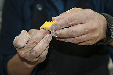 Hand-made fresh pasta tortelli, Italy, Europe