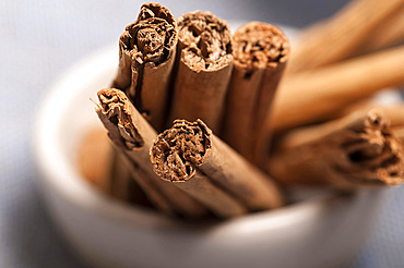 cinnamon sticks in a small bowl on a grey cloth.