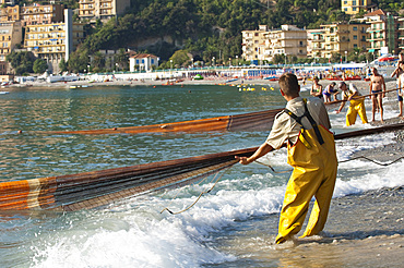 Fishing for Ciciarello, a type of blue fish, with the seine net. Noli, Savona, Liguria, Italy