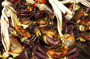 Seller of Pacific Ocean crabs at the Zacatecoluca market. El Salvador, Central America.