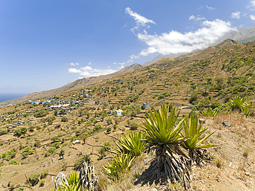 Landscape near Galinheiro in the north west of the island. Fogo Island (Ilha do Fogo), part of Cape Verde in the central atlantic.