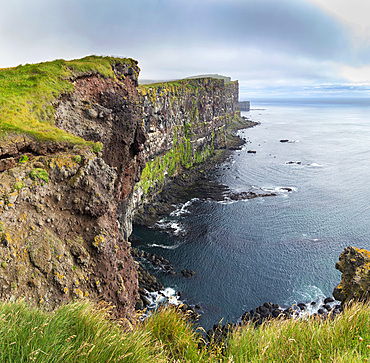 The cliffs at Latrabjarg. The remote Westfjords (Vestfirdir) in north west Iceland. Europe, Scandinavia, Iceland