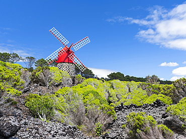 Traditional windmill near Sao Joao. Pico Island, an island in the Azores (Ilhas dos Acores) in the Atlantic ocean. The Azores are an autonomous region of Portugal. Europe, Portugal, Azores