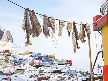 Town Uummannaq during winter in northern Greenland. Ship with drying fish in the frozen harbour. America, North America, Denmark, Greenland