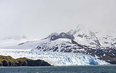 Fortuna Glacier at Cape Best. Antarctica, Subantarctica, South Georgia, October
