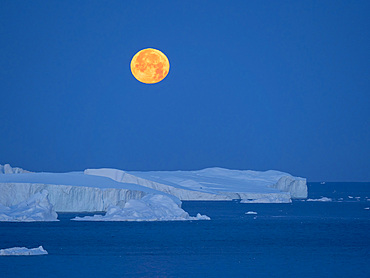 Full Moon. Ilulissat Icefjord also called kangia or Ilulissat Kangerlua at Disko Bay. The icefjord is listed as UNESCO world heritage. America, North America, Greenland, Denmark