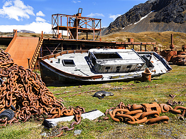 Wreck with Antarctic Fur Seal (Arctocephalus gazella) on the former Flensing Plan. Grytviken Whaling Station in South Georgia. Grytviken is open to visitors, but most walls and roofs of the factory have been demolished for safety reasons. Antarctica, Subantarctica, South Georgia, October