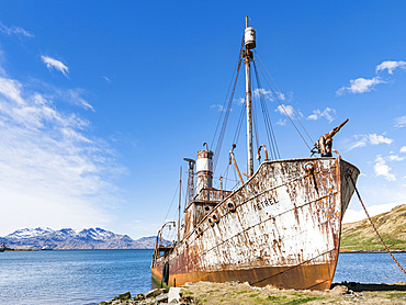 The Petrel a whale catcher. Grytviken Whaling Station in South Georgia. Grytviken is open to visitors, but most walls and roofs of the factory have been demolished for safety reasons. Antarctica, Subantarctica, South Georgia, October