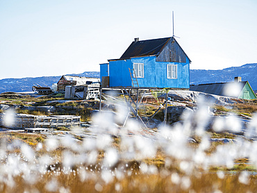 The Inuit village Oqaatsut (once called Rodebay) located in the Disko Bay. America, North America, Greenland, Denmark