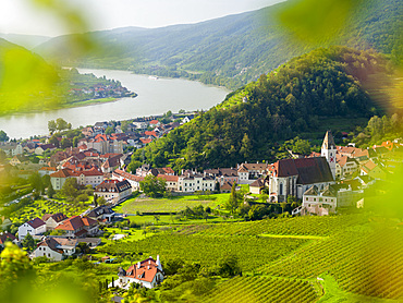 Historic village Spitz located in wine-growing area Wachau. Wachau is listed as UNESCO world heritage. Europe, Austria, Lower Austria