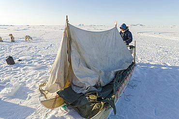 Inuit hunter wearing traditional trousers and boots made from polar bear fur is making his camp on the sea ice of the Melville Bay near Kullorsuaq in North Greenland. North America, danish teritorry