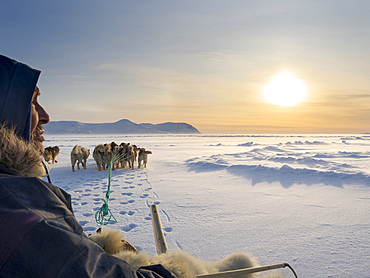 Inuit hunter on dog sled on the sea ice of the Melville Bay near Kullorsuaq in North Greenland. North America, danish teritorry