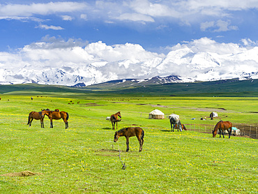 Traditional yurt in the Alaj valley with the Transalai mountains with Pik Kurumdy (6614) in the background. The Pamir Mountains, Asia, Central Asia, Kyrgyzstan