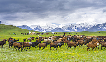 Traditional yurt the Transalai mountains in the background. Alaj valley in the Pamir Mountains, Asia, Central Asia, Kyrgyzstan