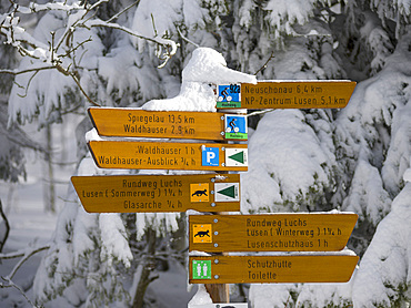 Signpost for hikers. Winter at Mount Lusen in National Park Bavarian Forest (Bayerischer Wald), Europe, Central Europe, Germany, Bavaria