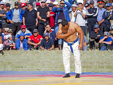 Greeting at the beginning of a fight. Kuresh, traditional Kyrgyz wrestling. Folk and Sport festival on the Suusamyr plain commemorating Mr Koshomkul, a sportsman and folk hero of the last century. Asia, central Asia, Kyrgyzstan