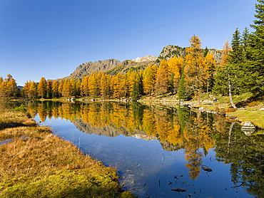 Lago San Pellegrino (Lech de San Pelegrin) during fall at Passo San Pellegrino in the Dolomites. Europe, Central Europe, Italy