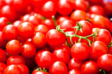 Pomodori di Capri, tomato, Capri island, Campania, Italy, Europe