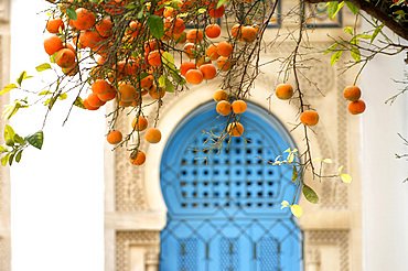 Foreshortening, Sidi Bou Said, Tunisia, North Africa, Africa