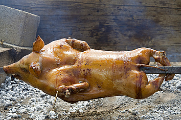 Porceddu, Roast Baby Pork; Lotzorai, Ogliastra, Sardinia, Italy