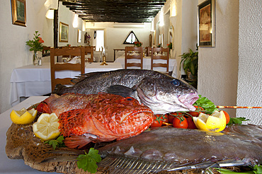 Fresh fish, Restaurant Stella díOro, Bonifacio, South Corsica, France, Europe