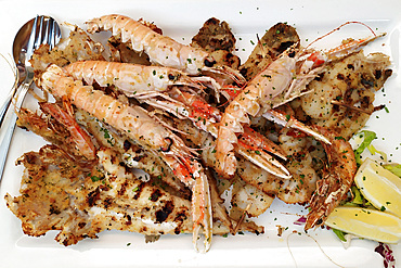 Grilled with squid, langoustines and prawn