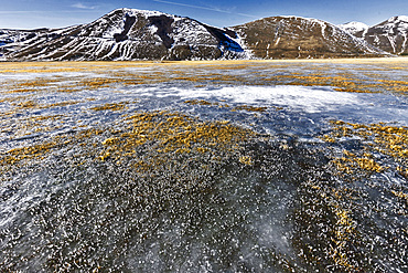 Monti Sibillini National Park, Frozen grass on the Pian Grande, Castelluccio di Norcia, Umbria, Italy, Europe