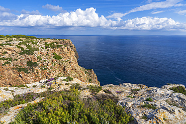 El Pilar de la Mola, Cliff, Formentera, Balearic Islands, Spain