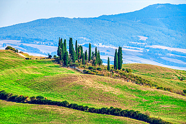 Countryside near San Quirico d'Orcia, UNESCO World Heritage Site, Val díOrcia, Tuscany, Italy, Europe