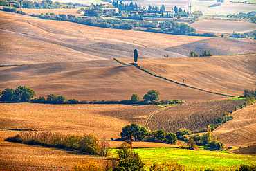 Countryside near San Quirico d'Orcia, Val d'Orcia, UNESCO World Heritage Site, Tuscany, Italy, Europe