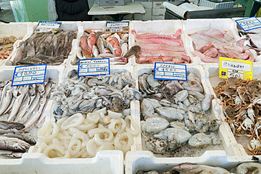 Fish market, Pescara, Abruzzo, Italy, Europe