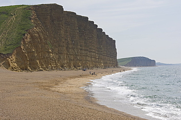 Burton Cliff, The Jurassic Coast, UNESCO World Heritage Site, Dorset, England, United Kingdom, Europe