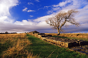Black Carts, Roman Wall, Hadrian's Wall, UNESCO World Heritage Site, Northumberland (Northumbria), England, United Kingdom, Europe