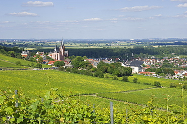 View east over the Rhine Valley and St. Katherine's Church in the wine town of Oppenheim, Rhineland Palatinate, Germany, Europe