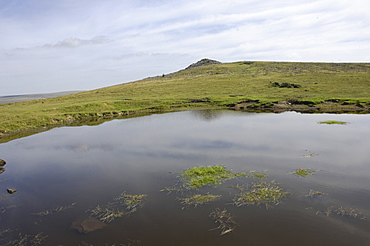 Tor and a moorland pond, Dartmoor National Park, Devon, England, United Kingdom, Europe