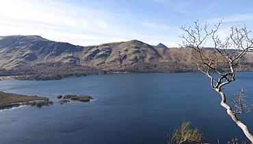 Catbells from Surprise View across Lake Derwentwater, Keswick, Lake District National Park, Cumbria, England, United Kingdom, Europe