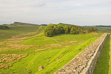 Roman Wall to east at Housesteads Fort to Sewing Shields Crags, Hadrian's Wall, UNESCO World Heritage Site, Northumberland, England, United Kingdom, Europe