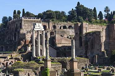 Ancient Roman Forum and the three columns of Temple of Castor and Pollux, UNESCO World Heritage Site, Rome, Lazio, Italy, Europe