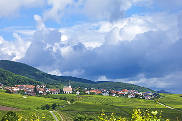 Village amongst vineyards in the Pfalz area, Germany, Europe