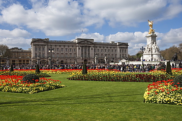 Buckingham Palace, London, England, United Kingdom, Europe