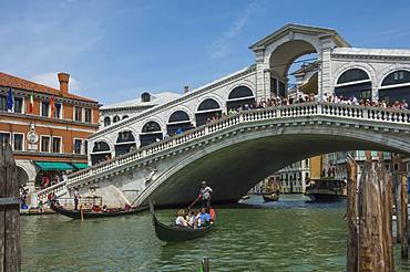 Rialto Bridge and gondolas on the Grand Canal, Venice, UNESCO World Heritage Site, Veneto, Italy, Europe