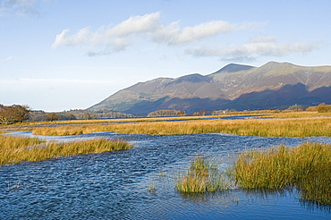 Derwentwater and Skiddaw, 3054ft, Lake District National Park, Cumbria, England, United Kingdom, Europe