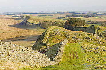 Looking east from Holbank Crags showing course of the Roman wall past Housesteads Wood to Sewingshields Crag, Hadrian's Wall, UNESCO World Heritage Site, Northumbria (Northumberland), England, United Kingdom, Europe