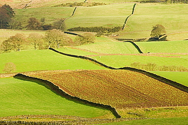 Patchwork of fields, lower slopes of Pennines, Eden Valley, Cumbria, England, United Kingdom, Europe