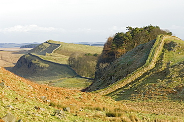 Looking east from Housesteads Crag and wood to Kennel Crags, Kings Hill, and Sewingshields Crag, Roman Wall, UNESCO World Heritage Site, Northumbria, England, United Kingdom, Europe