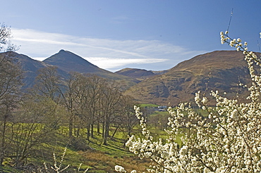 View across Newlands Valley to Causey Pike, Lake District National Park, Cumbria, England, United Kingdom, Europe