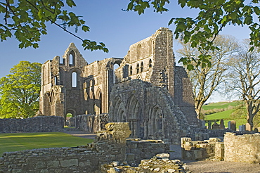 The 12th century Cistercian Dundrennan Abbey, founded by David 1st, where Mary Queen of Scots spent her last night on Scottish soil, Dumfries and Galloway, Scotland, United Kingdom, Europe